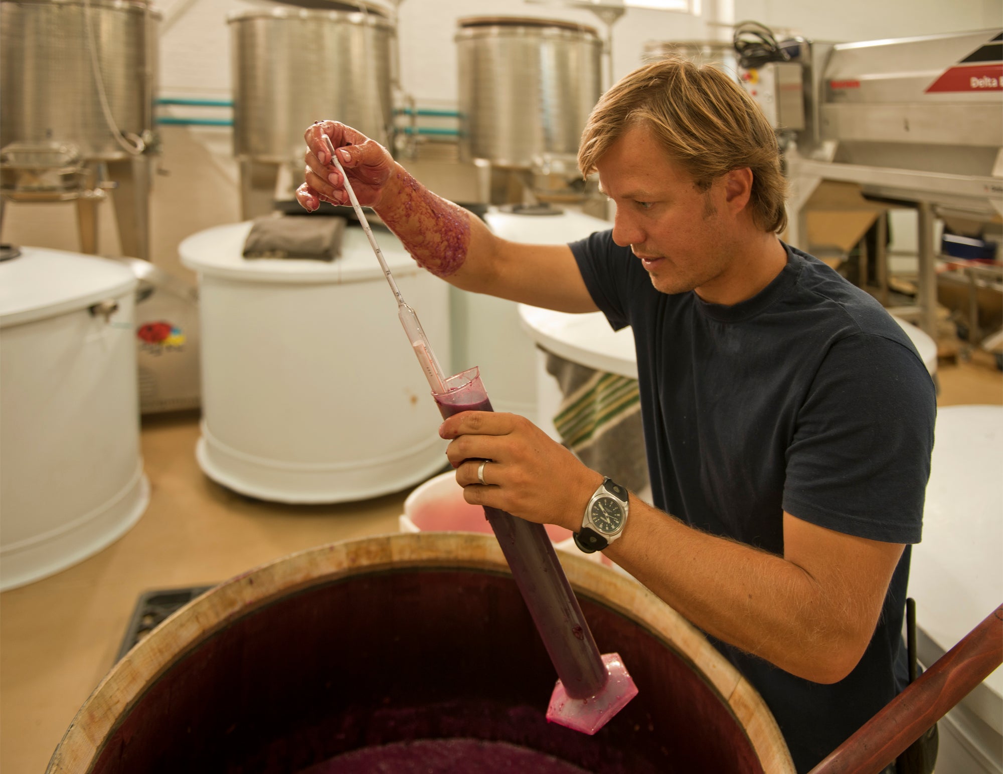 South African Wine Dinner - Thursday September 14th