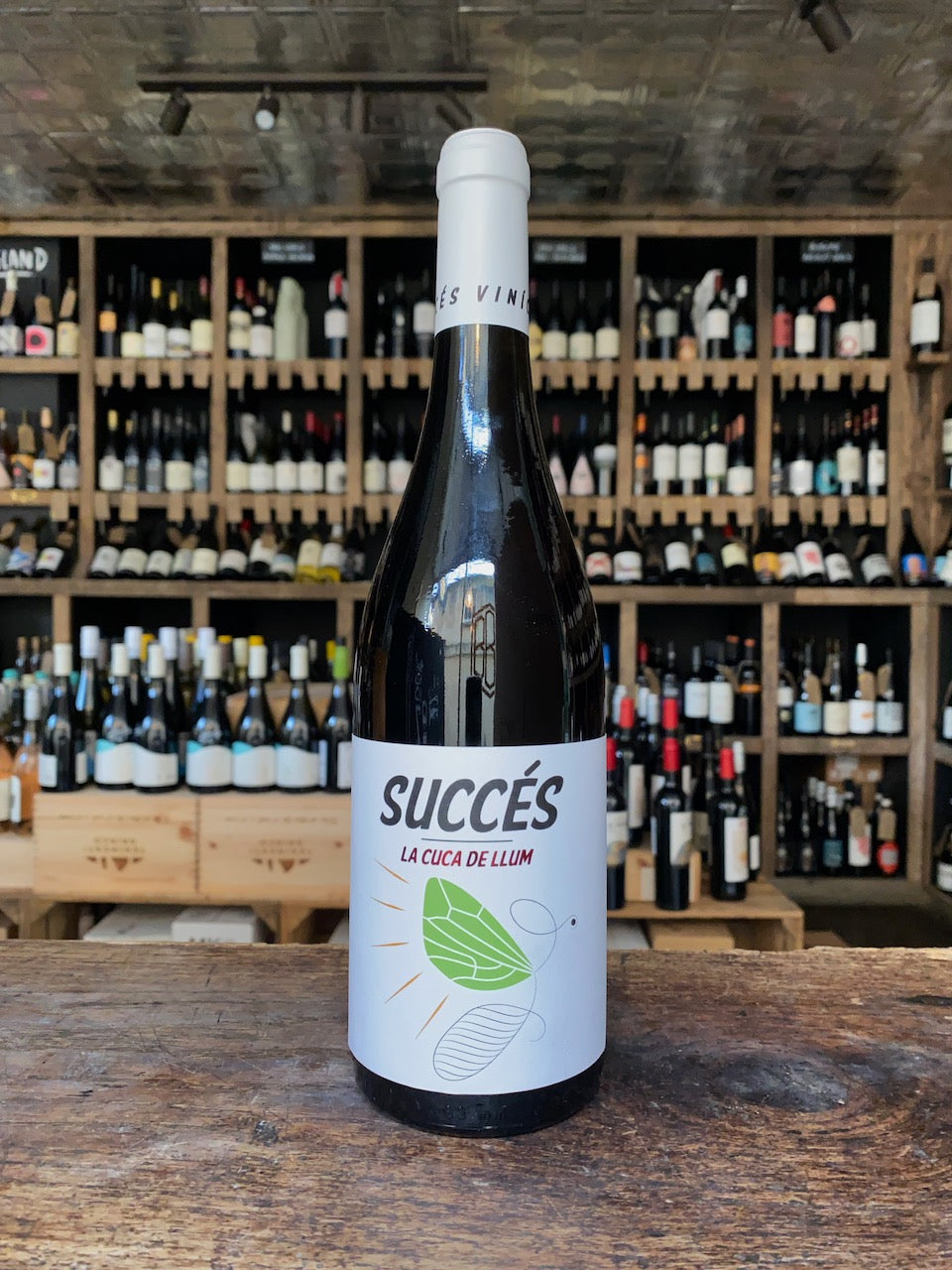 Cuca de Lium Trepat, Success Vinicola, 2021