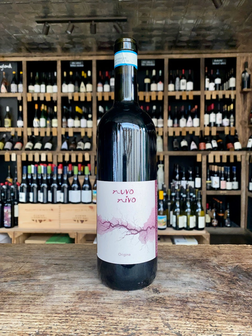 Nuvo Nivo, Origine Barbera