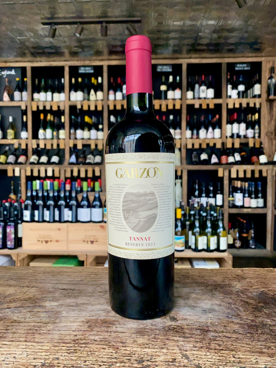 Tannat, Bodega Garzon Reserve