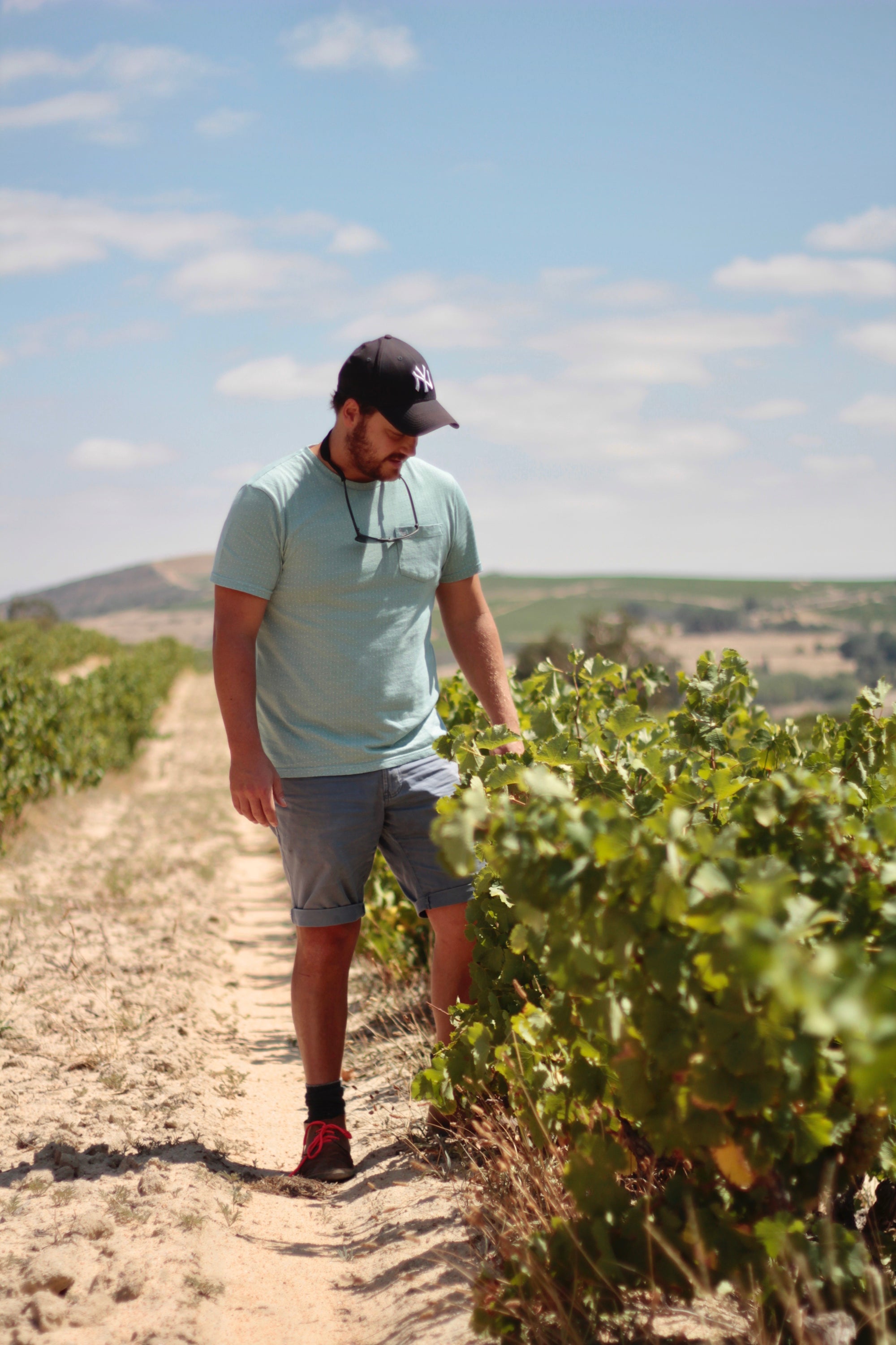 South African Wine Dinner - Thursday September 14th